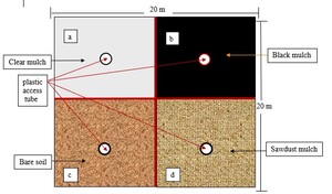 Figure from article: Impact of using different...